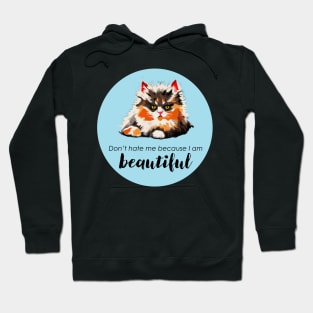 I'm beautiful. Don't hate me. Hoodie